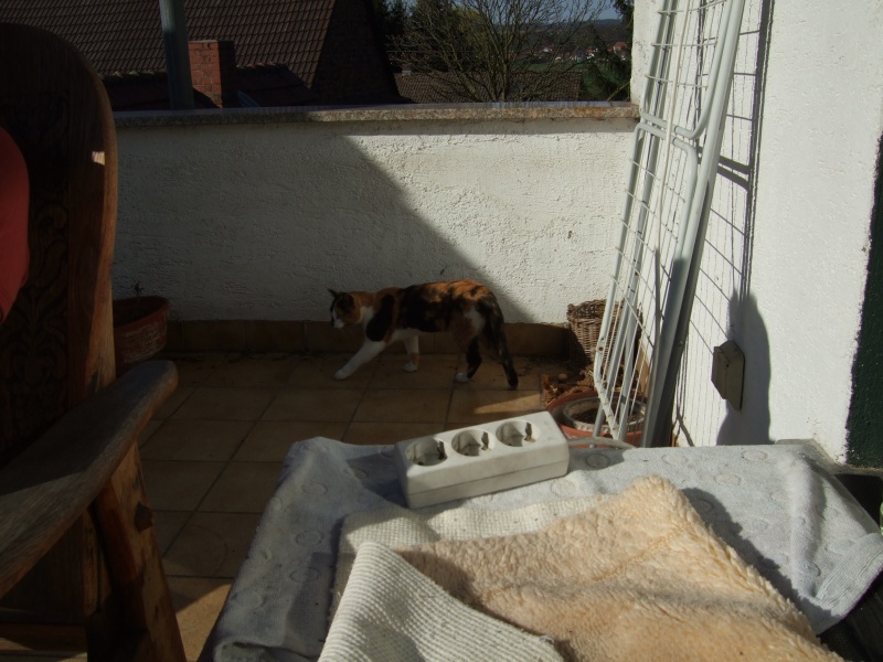 Ostern 2007 Orleshausen 058 